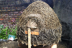 cob oven course